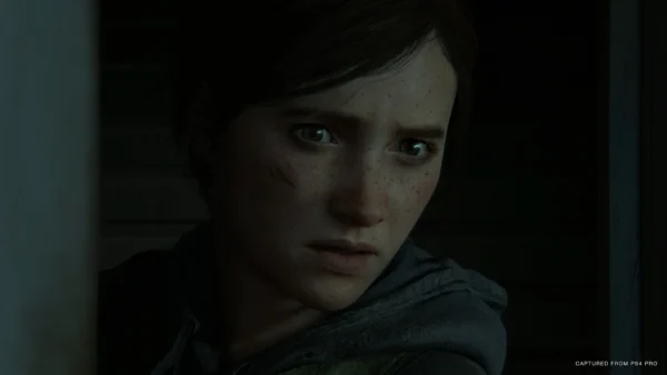 The Last of Us Part II - Image 2