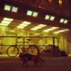 Stray - Image 4